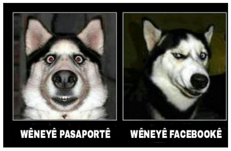 wêneya pasaportê vs facebookê