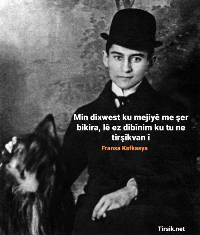 Franz Kafka-yê tirşikvan