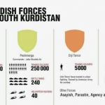 kurdish forces - hê