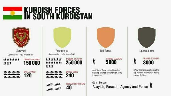 kurdish forces - hêzên kurdan