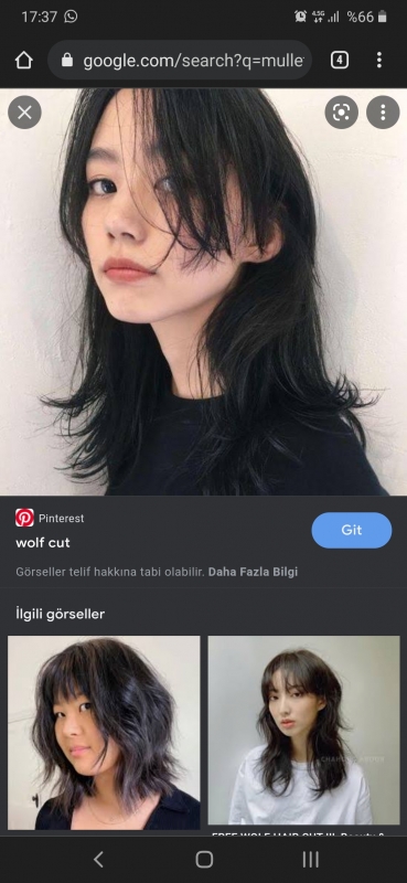 Wolf cut