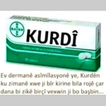 kurdî